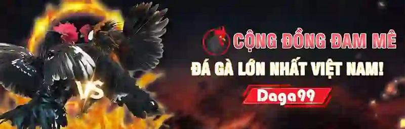 Lưu ý gì khi đăng nhập vào Daga99 hiện nay?